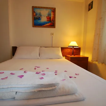 Guest house Adali 4*